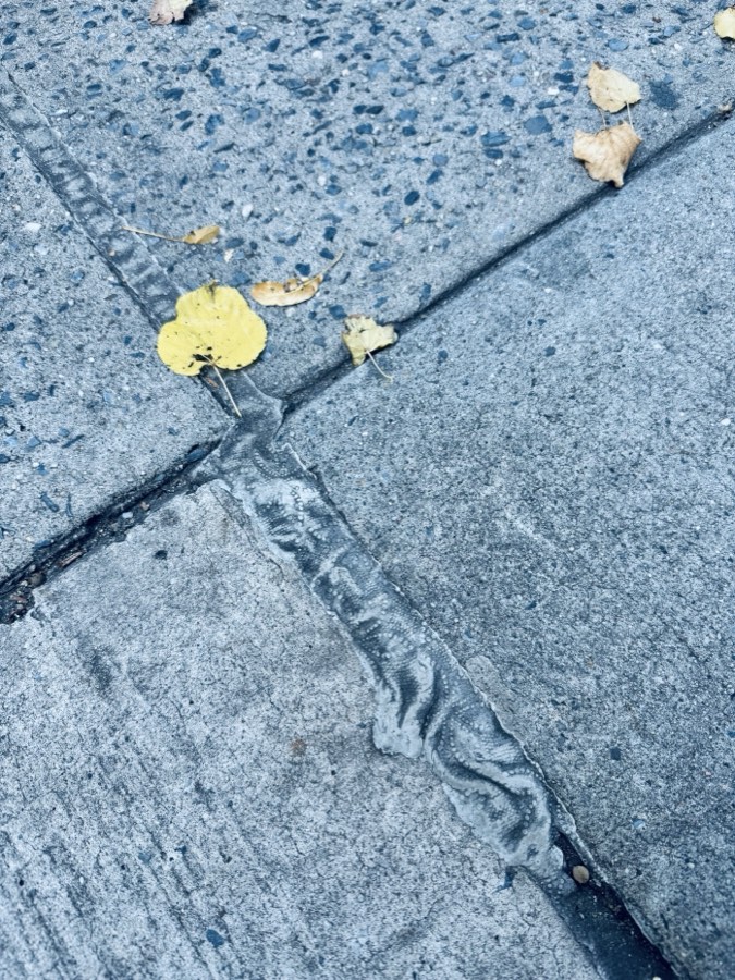 Sealant filling an expansion-joint crack in a concrete sidewalk